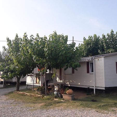 Camping Vila Village Sant Feliu de Buixalleu Exteriér fotografie