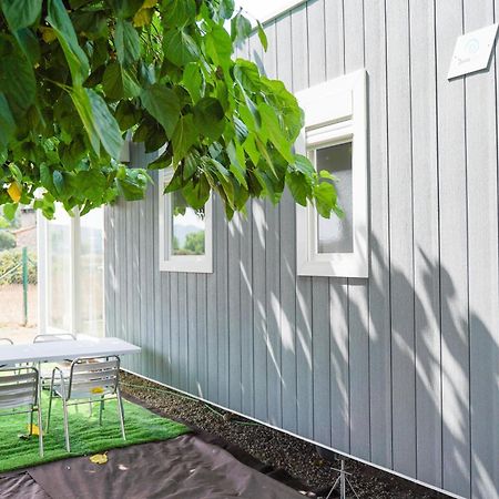 Camping Vila Village Sant Feliu de Buixalleu Exteriér fotografie