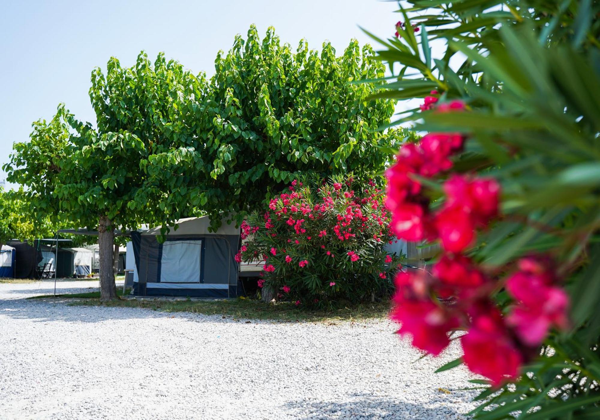 Camping Vila Village Sant Feliu de Buixalleu Exteriér fotografie